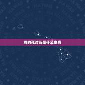 鸡的死对头是什么生肖，死对头失忆后黏上我了