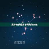 属羊女头胎见子有刑怎么破，属羊的女的为什么不好