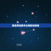 属鼠男和属羊女婚配的属相，属鼠的男人和属羊的女人