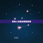 属兔人的最佳婚配属相，属兔的男生最佳配对的属相？