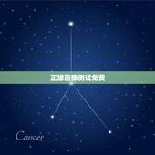 正缘画像测试免费，测试你的性格
