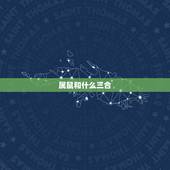 属鼠和什么三合，鼠命三合生肖