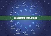 属鼠的性格是怎么样的，属鼠的属于什么类型的人