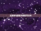 女属猪与男属马婚配可以吗，请问，男属马女属猪婚姻相配？