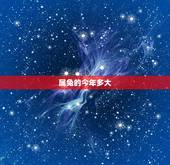 属兔的今年多大 属兔的几月出生最好