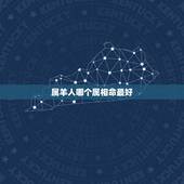 属羊人哪个属相命最好，属羊的人跟什么生肖合伙人最好