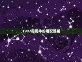 1997男属牛的婚配属相，1997年出生的孩子婚配1997年的孩子命里