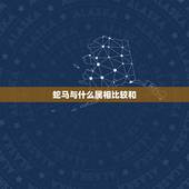 蛇马与什么属相比较和，属蛇的和什么属相最般配？