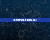 属猴的今年要离婚2022，2022 年属猴人有牢狱之灾
