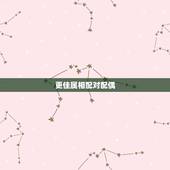 更佳属相配对配偶，12生肖更佳姻缘配对表
