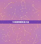 70年属狗哪年走大运，1970年出生的属狗人哪一年财运好