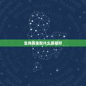 生肖属兔配什么属相好，属兔的和什么属相相配才好呢