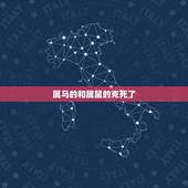属马的和属鼠的克死了，女的属马与那个属鼠的相克怎么破解