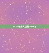 2022年兔人运程1975年，1975年出生2022年生肖运程