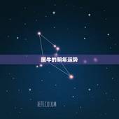 属牛的明年运势，属牛人今年运势？