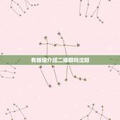 有婚姻介绍二婚群吗沈阳，沈阳有涉外婚姻介绍所吗？