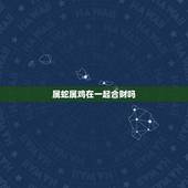 属蛇属鸡在一起合财吗，属蛇和属鸡的合不合适