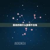 属龙的和什么属相不合兔，属龙的和属兔的为什么不和