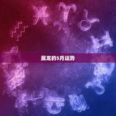 属龙的5月运势，属龙的人2011年运程五月的运程