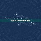 属羊的2022年多大年纪，属羊最旺财的年龄段2022年