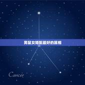 男鼠女婚配最好的属相，男属鼠和什么生肖最配