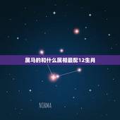 属马的和什么属相最配12生肖，属马的和什么属相最相配 12属相婚配表