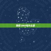 属蛇1965年什么命，1965年属蛇是什么命 1965年出生人的命运