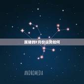 属猪的7月份运势如何，属猪的人2017年运势如何