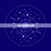 2022羊是什么年，2022年是什么开局之年