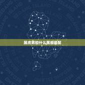 属虎男和什么属相最配，属虎男配什么属相女