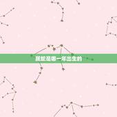 属蛇是哪一年出生的，蛇生肖是什么年份生的