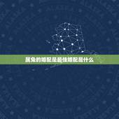 属兔的婚配是最佳婚配是什么，属兔的和什么属相的人结婚好