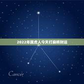 2022年属虎人今天打麻将财运，属虎人今日麻将运势如何