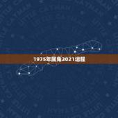 1975年属兔2021运程，2021年兔人运程1975年