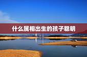 什么属相出生的孩子聪明，十二生肖哪个属相的人最聪明