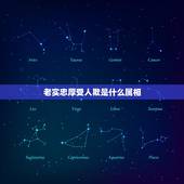 老实忠厚受人欺是什么属相，憨厚老实是代表什么生肖