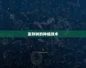 发财树的种植技术，种发财树要怎么种植