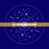 女人梦见黑鱼是什么预兆，梦见鱼是什么意思