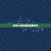 龙和小龙的婚配属相好吗，属龙的跟什么属相婚配好