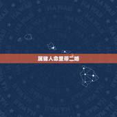 属猪人命里带二婚，十猪九苦1983