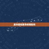 属羊能和属羊的婚配吗，属羊的和什么属相相配最好