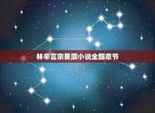 林辛言宗景灏小说全部章节，女主叫林辛言男主叫宗景灏的是什么书？