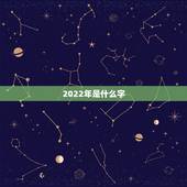 2022年是什么字，2022年