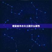 老鼠金木水火土属什么属性，鼠属于五行属什么
