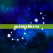 虎和虎的婚配属相合不合，生肖属虎的和属虎的相配吗