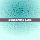属相婚配中的相形是什么意思，属兔的女人和什么属相最般配