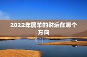 2022年属羊的财运在哪个方向，2022 年犯太岁的生肖怎么化解