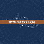 想生2022年的虎宝宝几月备孕，2022 牛宝宝几月出生更好命2022 年