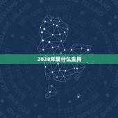 2028年属什么生肖，2028年什么命