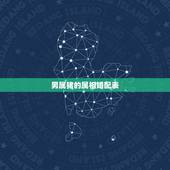男属猪的属相婚配表，我属猪的，女，95年的，今年为什么那么倒霉